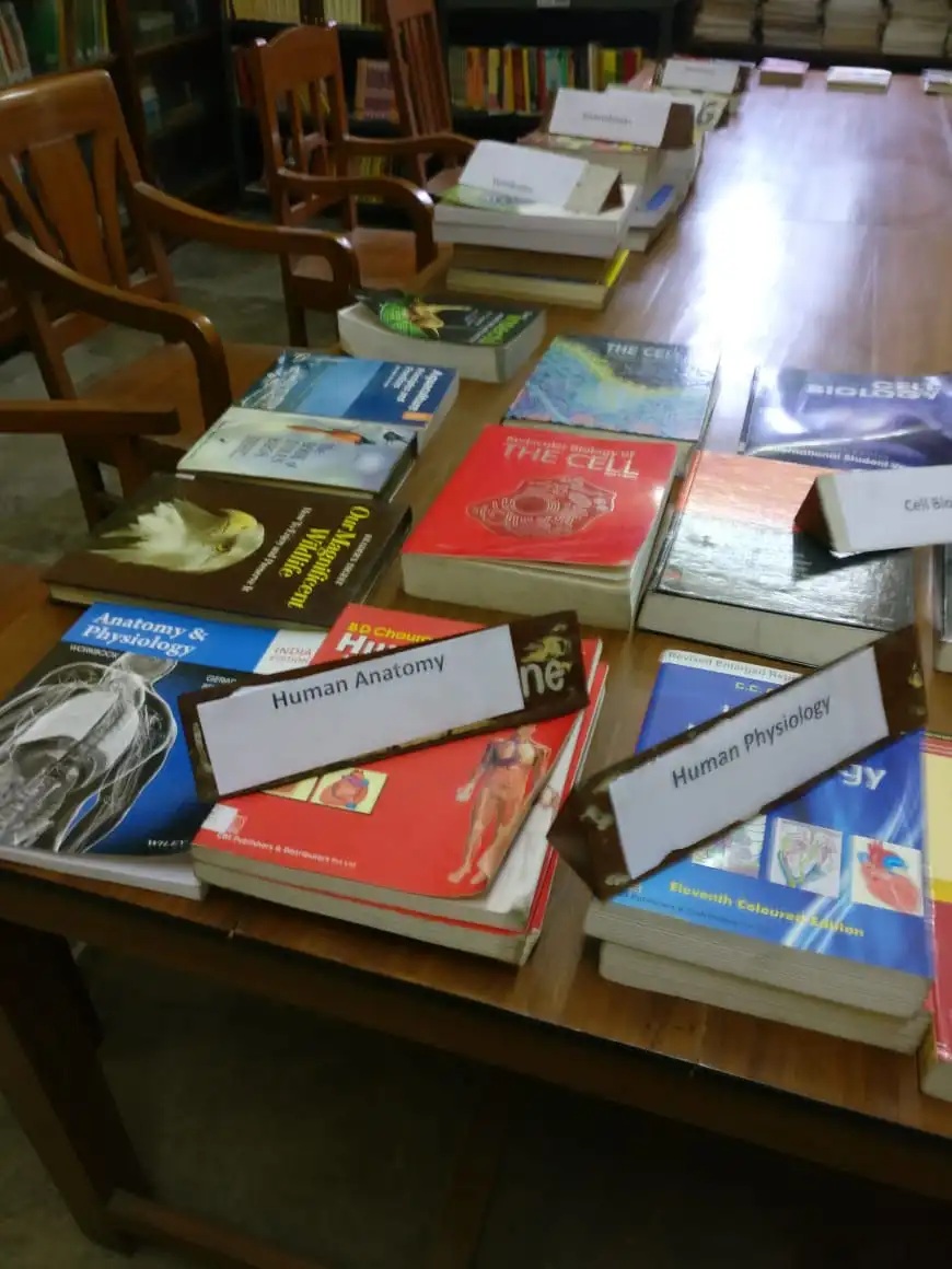 Digital Resources Section
